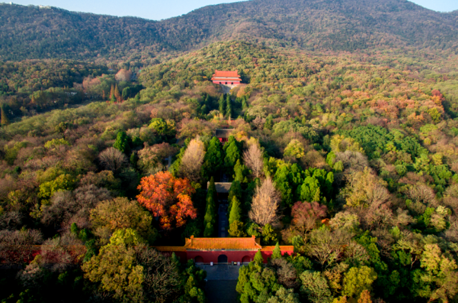 2024紫金山旅游護照年卡