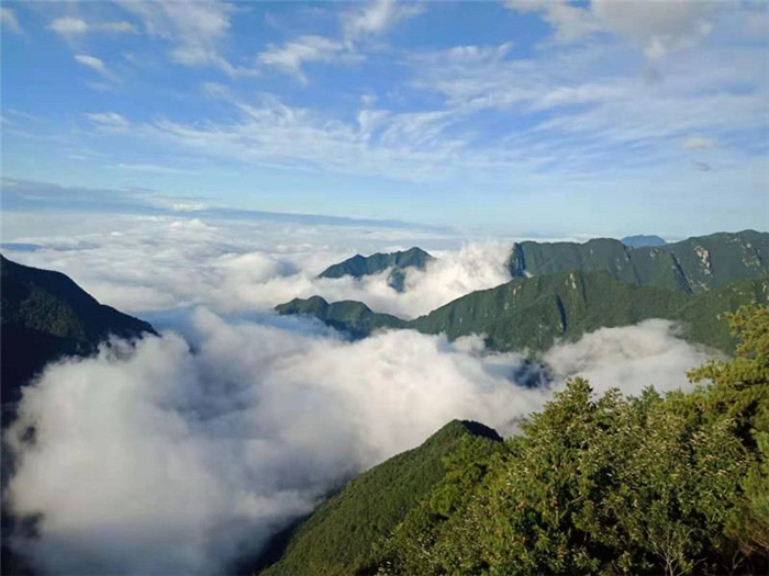 2025漢中天臺(tái)國(guó)家森林公園門票+簡(jiǎn)介+地址+交通