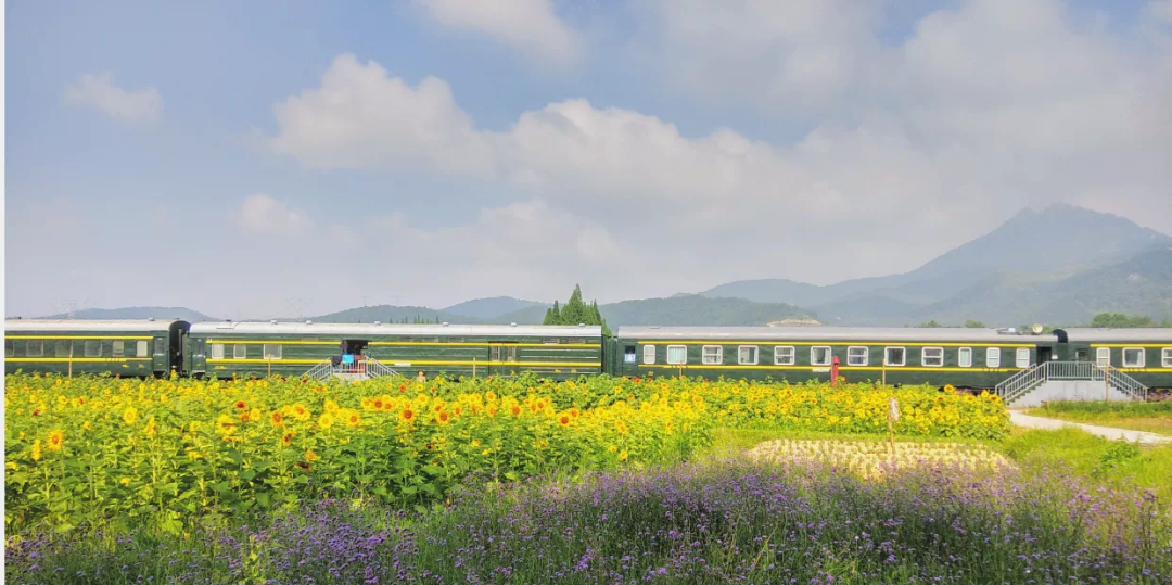 黃岡袁夫稻田