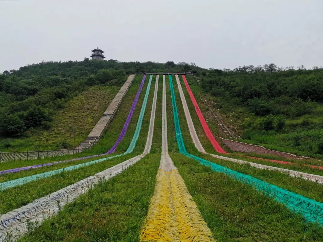 七彩花海3.jpg