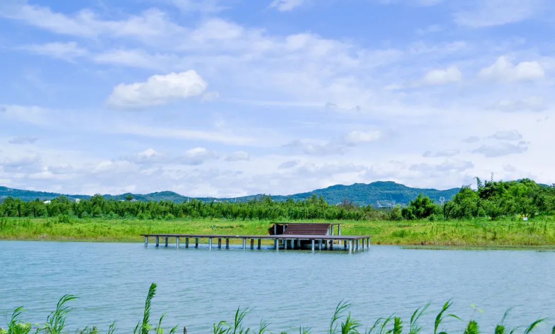 成都我的田園