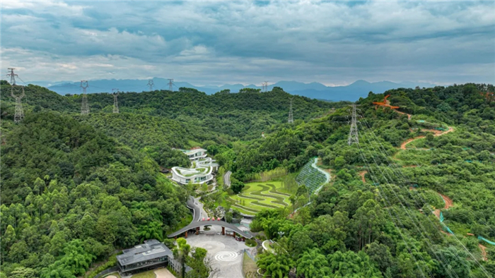 崇州無根山竹藝公園