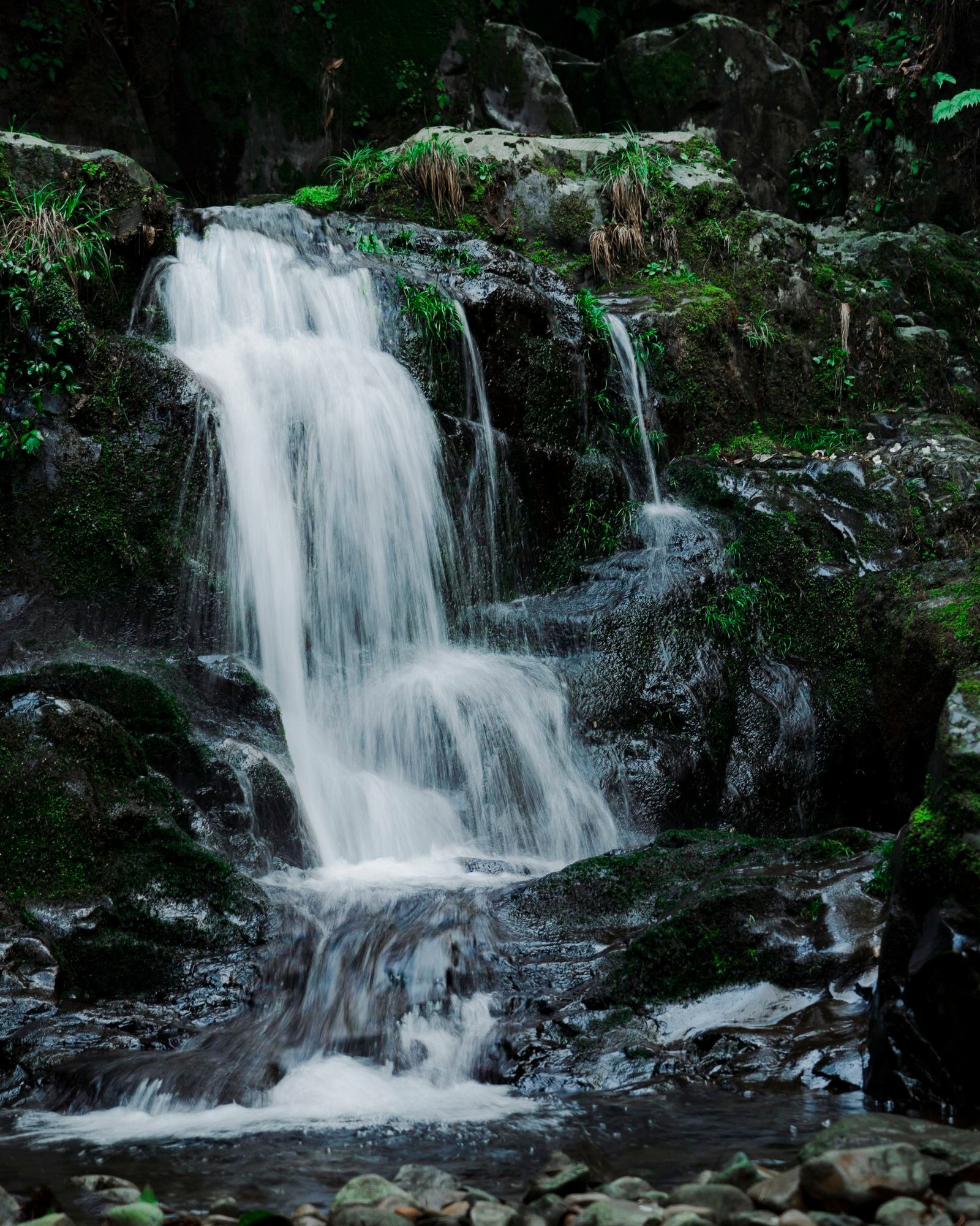 /uploads/image/2024/06/06/a7213b797df4649f38011bfcbc09cc1d.jpg