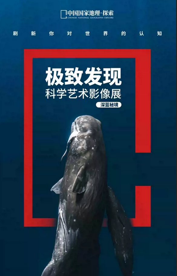 廣州國家地理探索極致發(fā)現(xiàn)科學(xué)藝術(shù)影像展