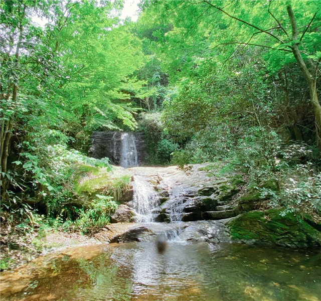 安吉九龍峽景區(qū).jpg