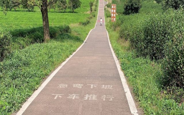 龍池山自行車公園.jpg