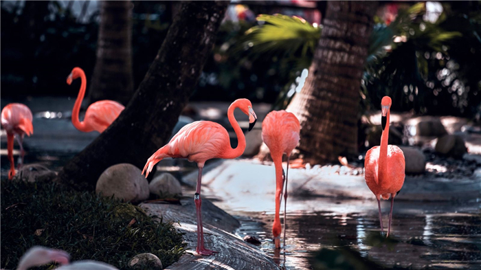 三亞動物樂園.jpg