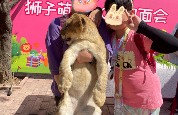 2024遼陽龍鼎山動物園景區(qū)簡介+門票價格+開放時間+交通指南