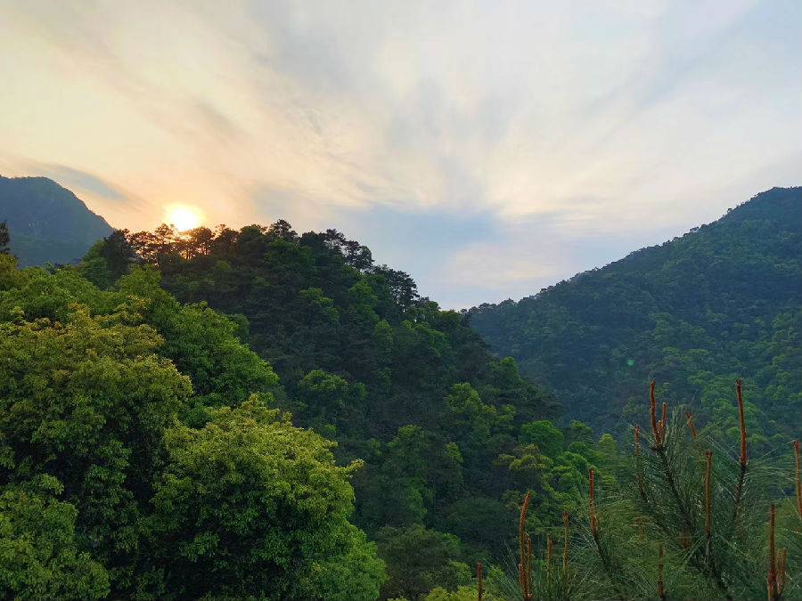 2025佛山九道谷漂流門(mén)票+地址交通+景區(qū)介紹+游玩項(xiàng)目