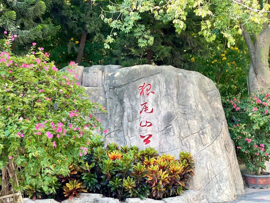 2025廈門(mén)狐尾山公園簡(jiǎn)介+門(mén)票價(jià)格+交通路線(xiàn)+游玩攻略