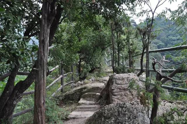 南阳银树沟景区