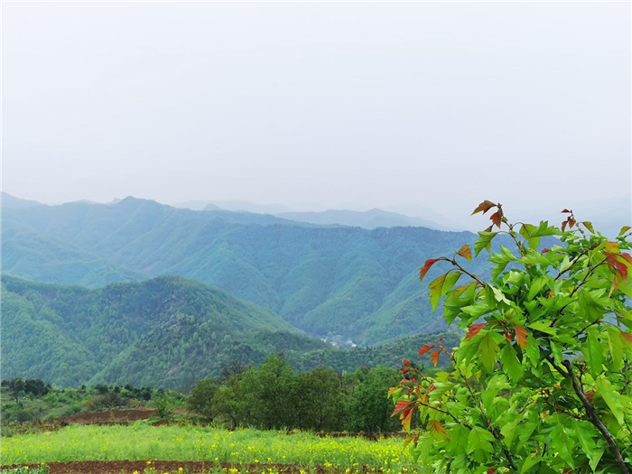 洛陽(yáng)王府竹海度假旅游區(qū).jpg