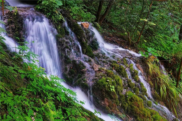 洛陽(yáng)王府竹海度假旅游區(qū).jpg