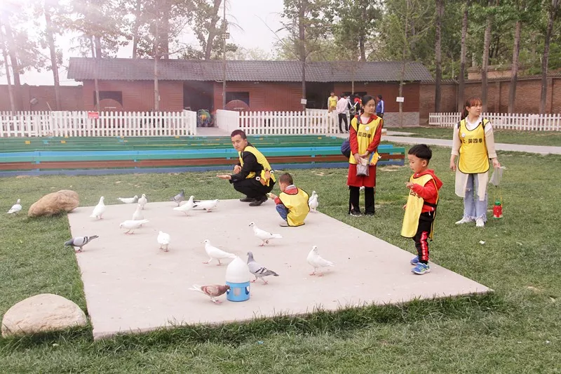 上美四季生態(tài)園