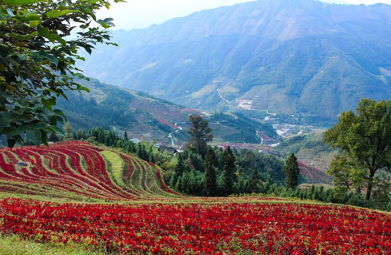 布尼梯田加烏瀑布景區(qū)