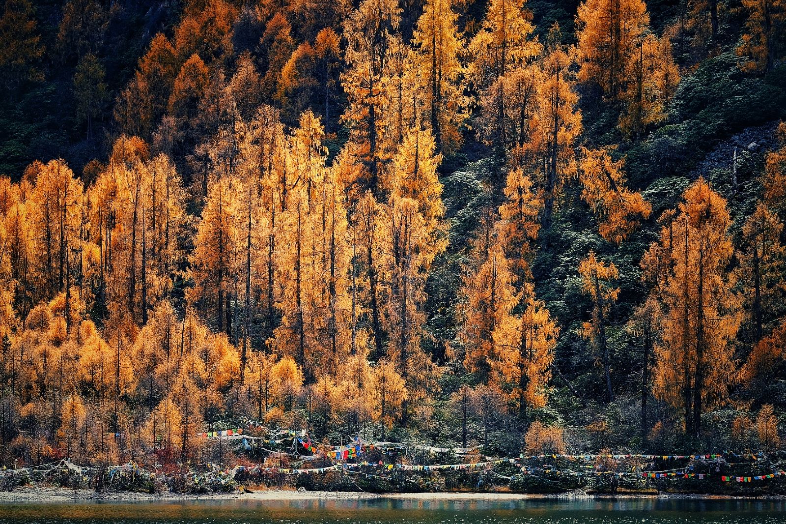 亞拉雪山風(fēng)景區(qū).jpg