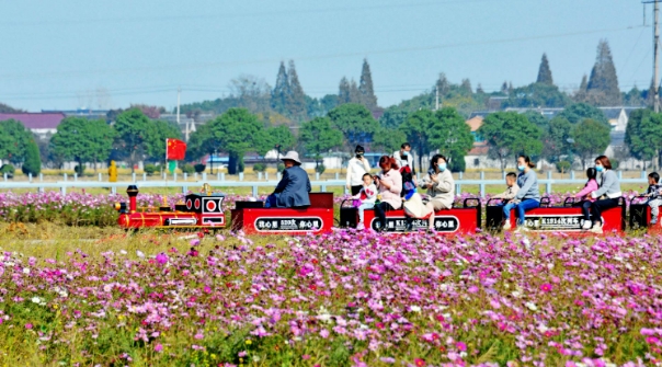 濟(jì)南紫緣香草園