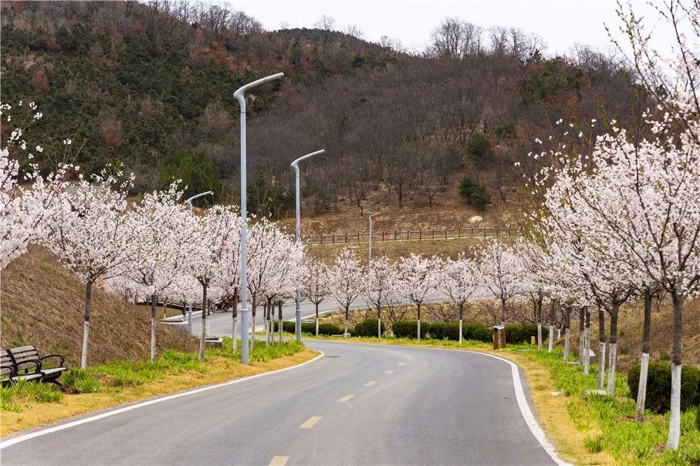 藏馬山千禧谷