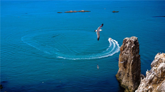 威海海驢島