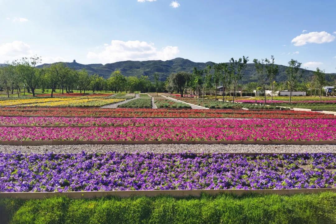 太原植物園