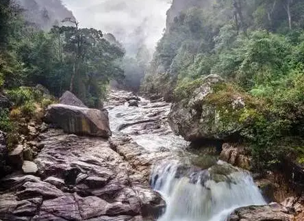 廣東第一峰旅游風(fēng)景區(qū)1.png