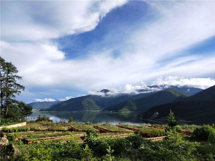 香格里拉高山植物園