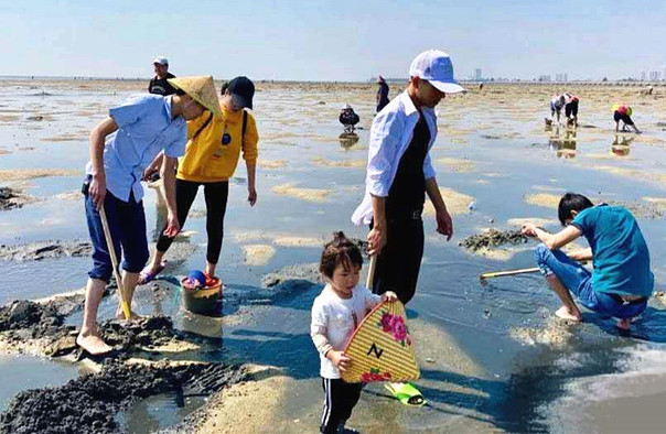 北海紅樹林拾貝趕海