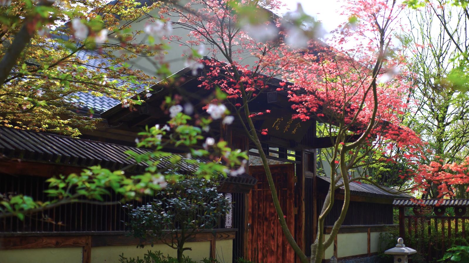 黃岡東山問梅村.jpg