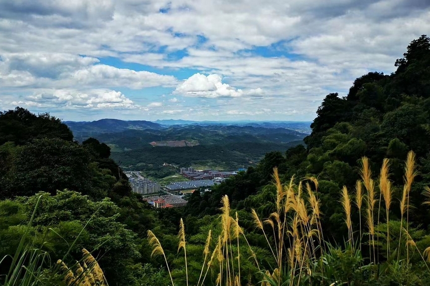 郴州王仙岭景区5.png