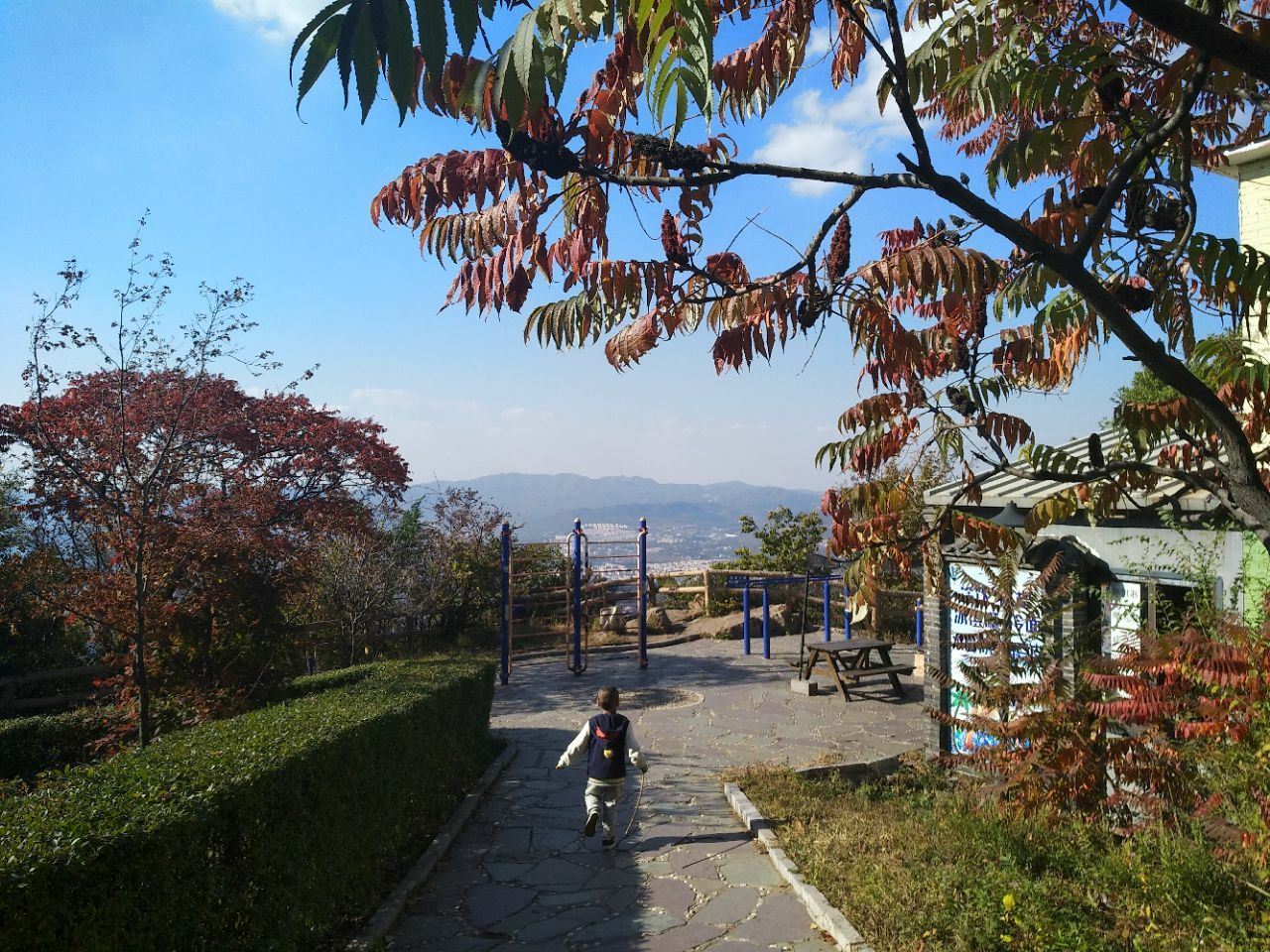 平頂山森林公園.jpg