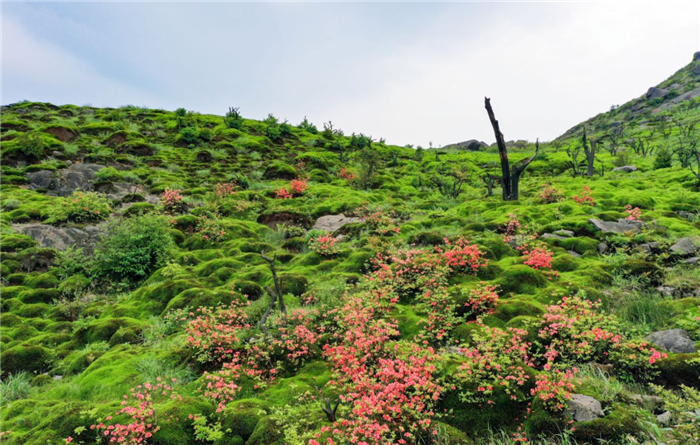 2024永州云冰山旅游景區(qū)怎么樣?(附門票價(jià)格+游玩項(xiàng)目)