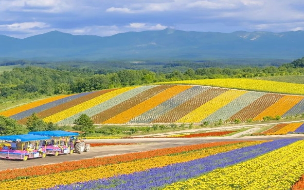 南京多樂拾趣花田樂園