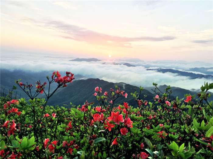 永州云冰山旅游景區(qū)3.png