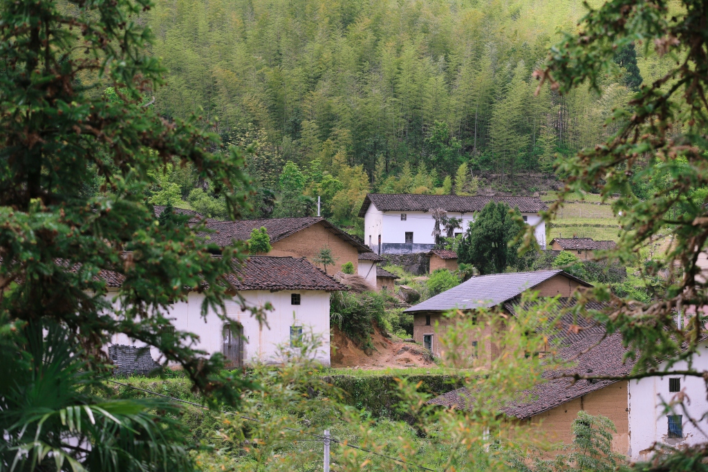 衢州梅樹(shù)底風(fēng)景區(qū)