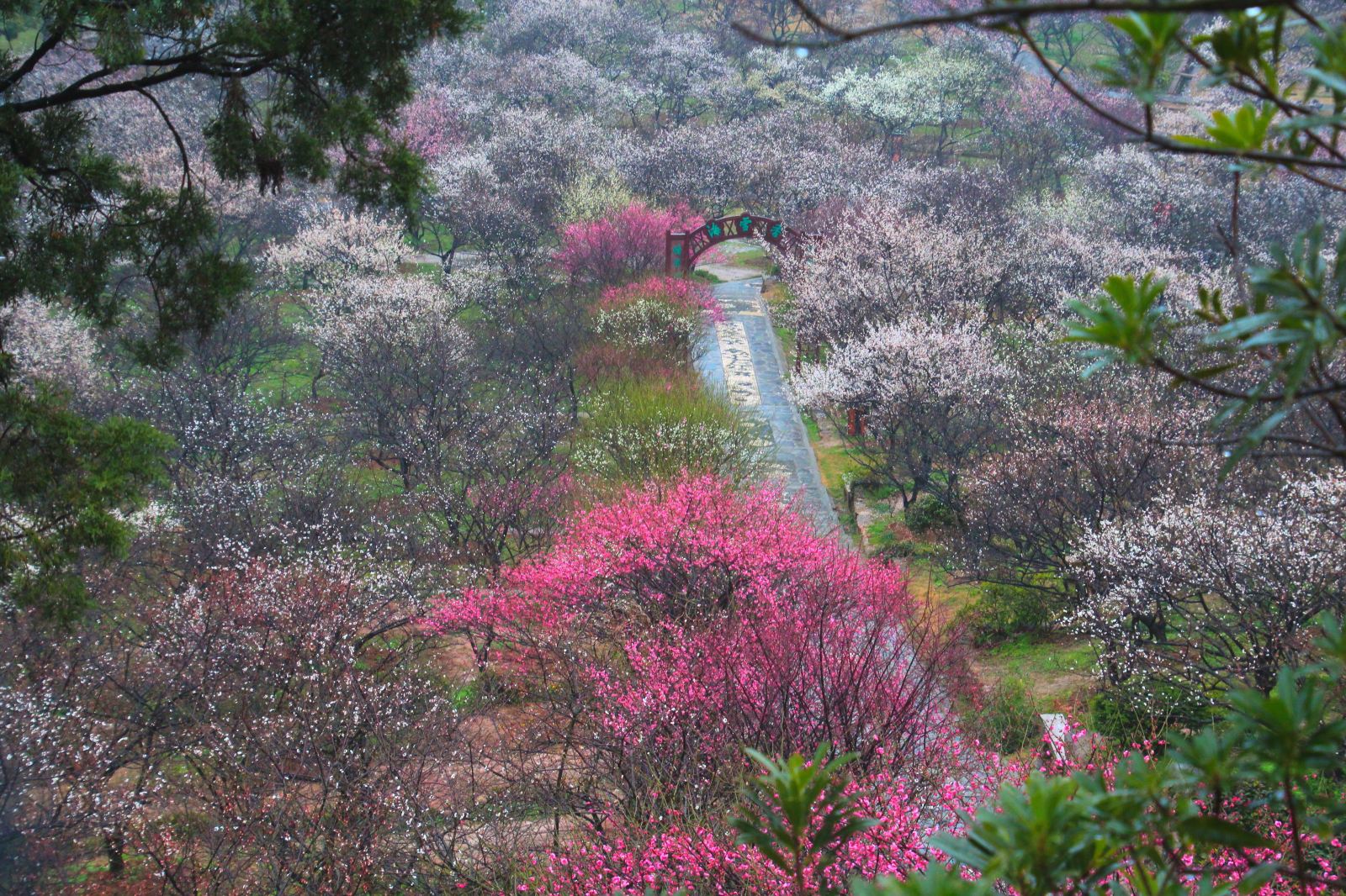 2024蘇州香雪海景區(qū)介紹+地址+門票