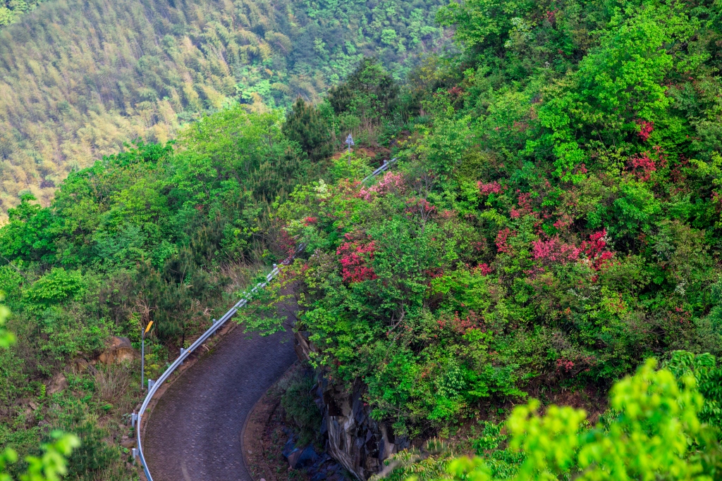 衢州梅樹底風(fēng)景區(qū).jpg