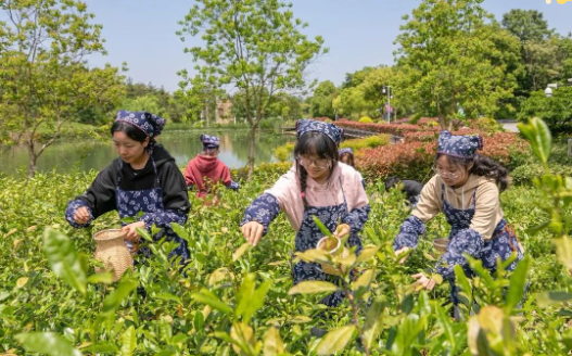 江蘇茶博園