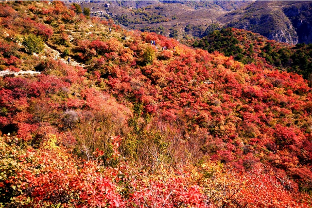 鶴壁云夢(mèng)山風(fēng)景區(qū)