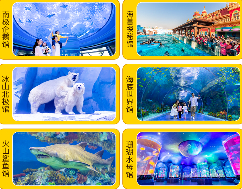 上海海昌海洋公園.png