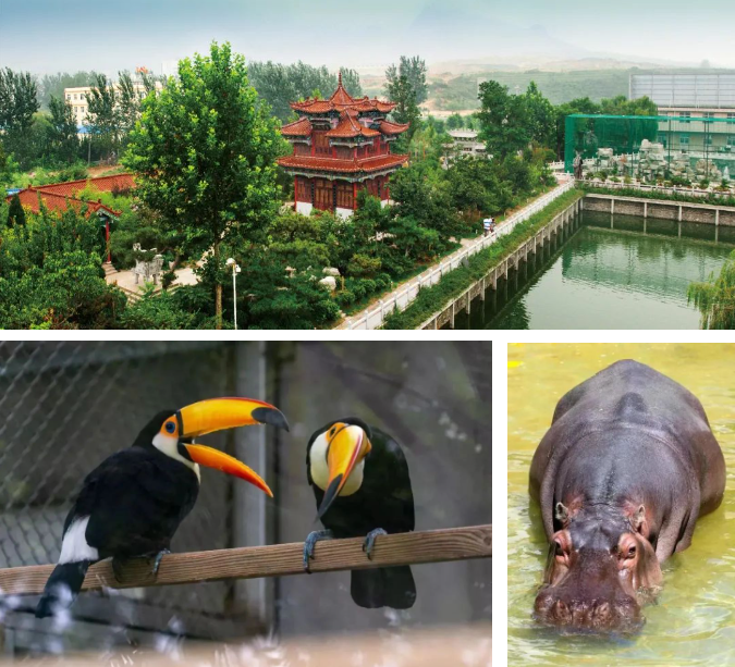 蓬萊黃金河動物園