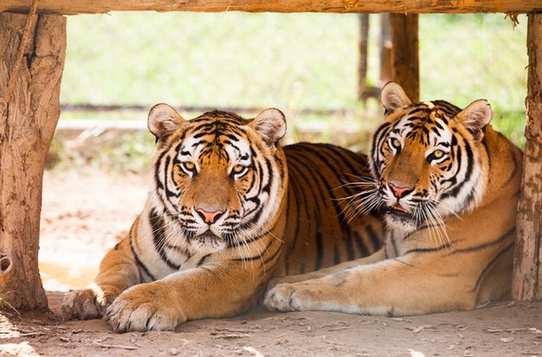 鄭州市動(dòng)物園