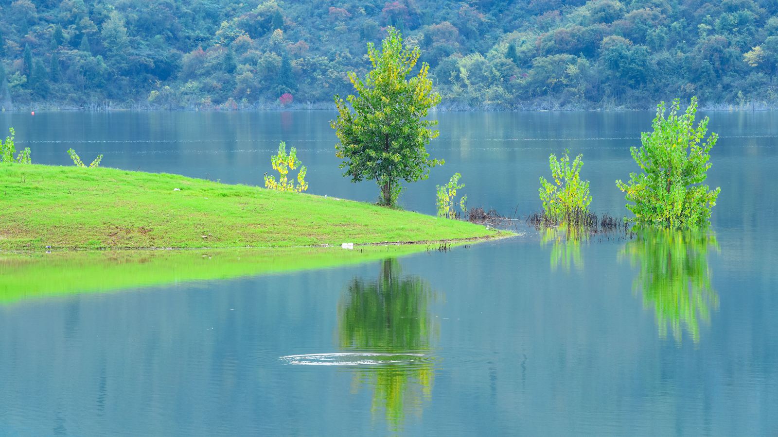 漢江綠谷生態(tài)園2.png