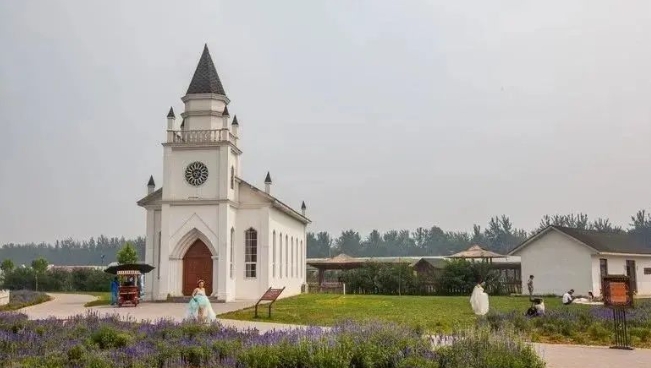 藍(lán)調(diào)薰衣草莊園