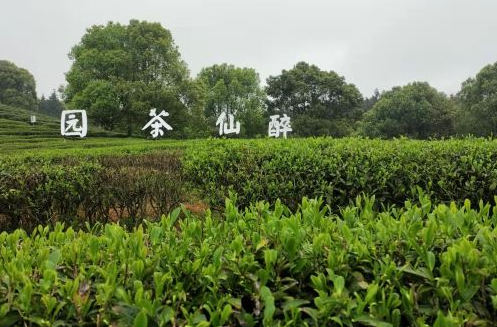 株洲酒仙湖4.png