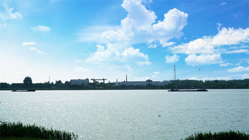 扬州凤凰岛湿地公园3.jpg