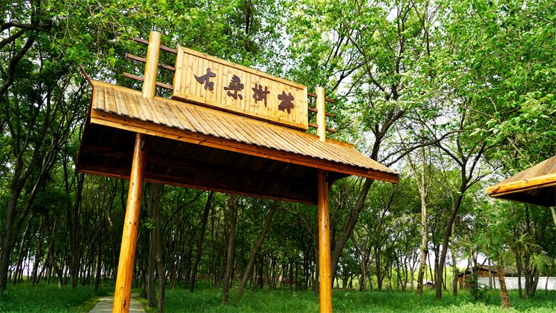 揚(yáng)州鳳凰島濕地公園2.jpg