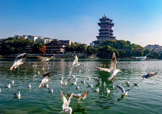 涪江文旅一卡通