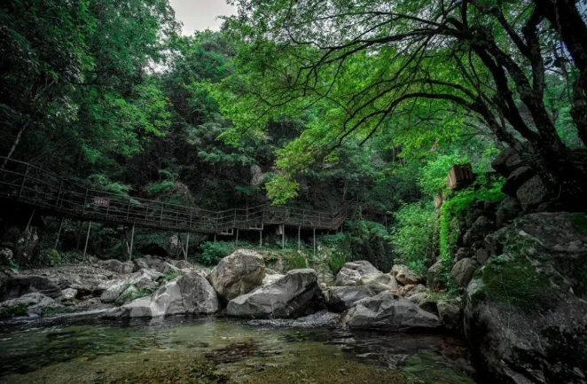 石臺醉山野度假區(qū)