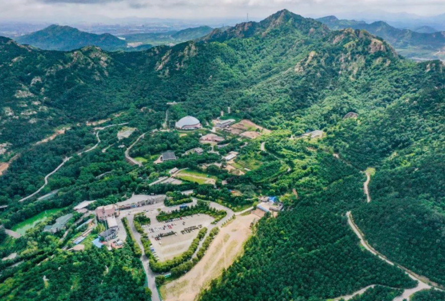 2025青島森林野生動物世界年卡辦理指南(價格+有效期+優(yōu)惠政策)