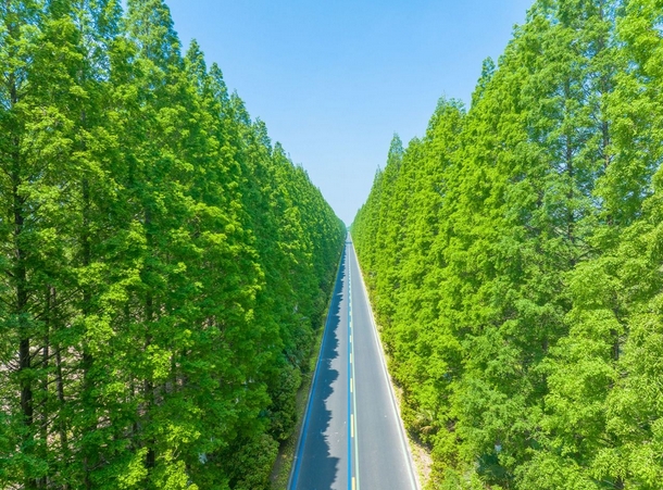 東臺黃海森林公園